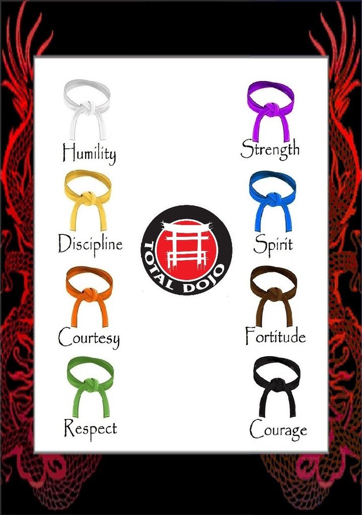 Total Dojo Belt Colours and Meanings – Kids Martial Arts in Milton Keynes